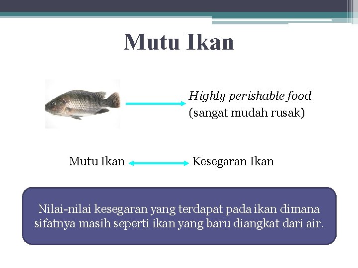 Mutu Ikan Highly perishable food (sangat mudah rusak) Mutu Ikan Kesegaran Ikan Nilai-nilai kesegaran