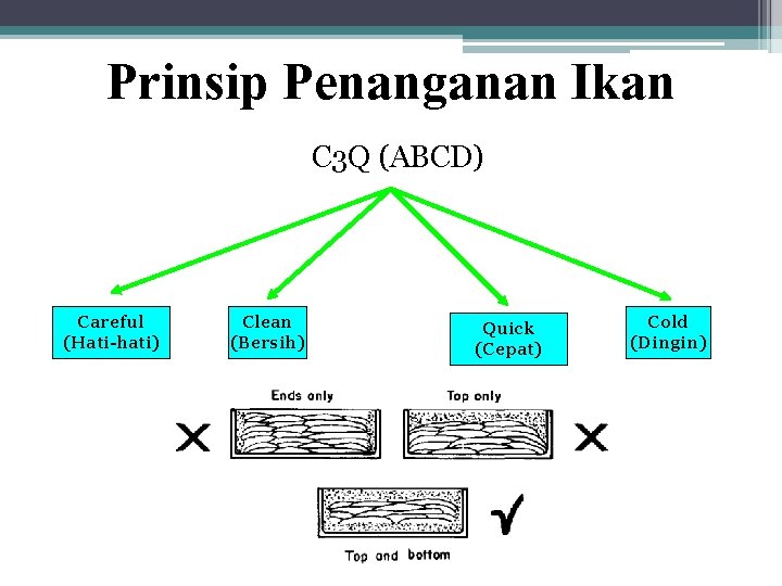 Prinsip Penanganan Ikan C 3 Q (ABCD) Careful (Hati-hati) Clean (Bersih) Quick (Cepat) Cold