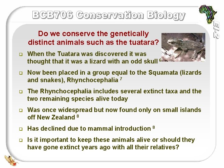 Do we conserve the genetically distinct animals such as the tuatara? q When the Do we conserve the genetically distinct animals such as the tuatara? q When the