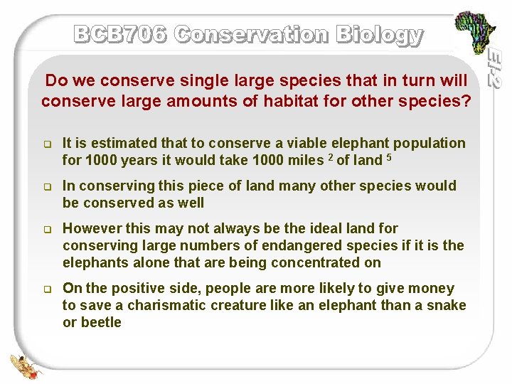 Do we conserve single large species that in turn will conserve large amounts of Do we conserve single large species that in turn will conserve large amounts of