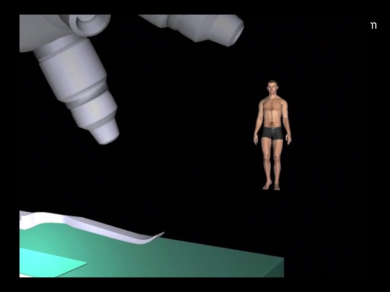 The Behavioural Stream 