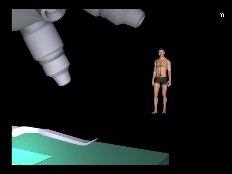 The Behavioural Stream 