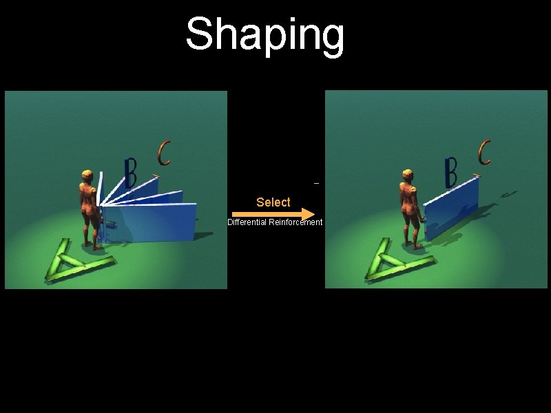 Shaping Select Differential Reinforcement 