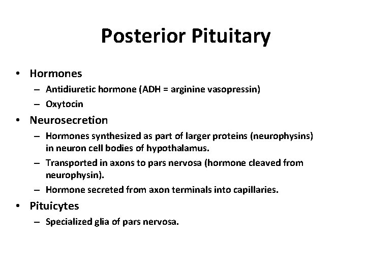Posterior Pituitary • Hormones – Antidiuretic hormone (ADH = arginine vasopressin) – Oxytocin •
