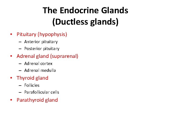 The Endocrine Glands (Ductless glands) • Pituitary (hypophysis) – Anterior pituitary – Posterior pituitary
