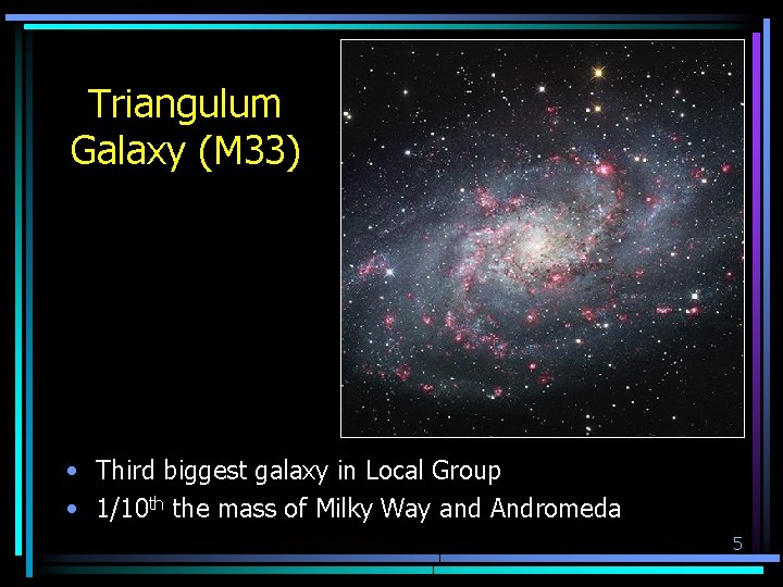Triangulum Galaxy (M 33) • Third biggest galaxy in Local Group • 1/10 th