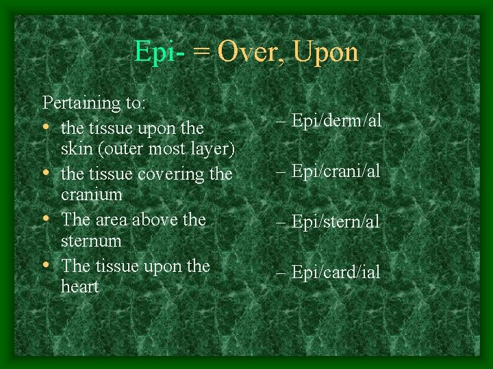 Epi- = Over, Upon Pertaining to: • the tissue upon the skin (outer most