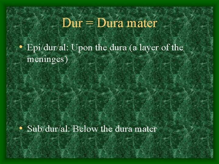 Dur = Dura mater • Epi/dur/al: Upon the dura (a layer of the meninges)