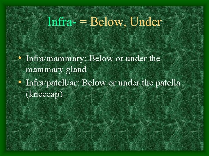 Infra- = Below, Under • Infra/mammary: Below or under the mammary gland • Infra/patell/ar: