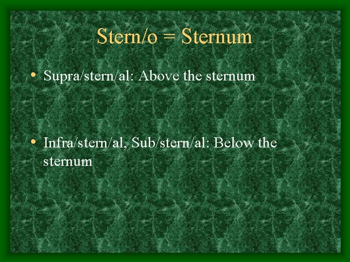 Stern/o = Sternum • Supra/stern/al: Above the sternum • Infra/stern/al, Sub/stern/al: Below the sternum