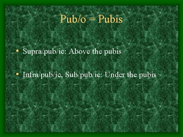 Pub/o = Pubis • Supra/pub/ic: Above the pubis • Infra/pub/ic, Sub/pub/ic: Under the pubis