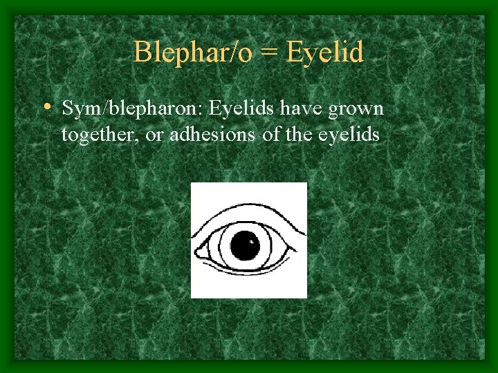 Blephar/o = Eyelid • Sym/blepharon: Eyelids have grown together, or adhesions of the eyelids