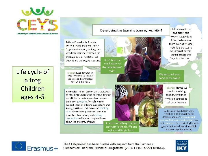 Life cycle of a frog Children ages 4‐ 5 