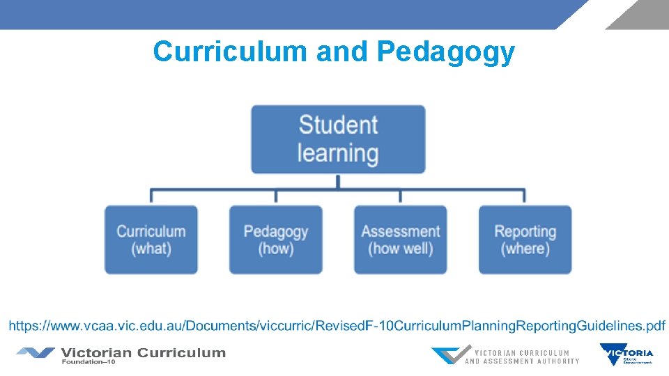 Curriculum and Pedagogy 