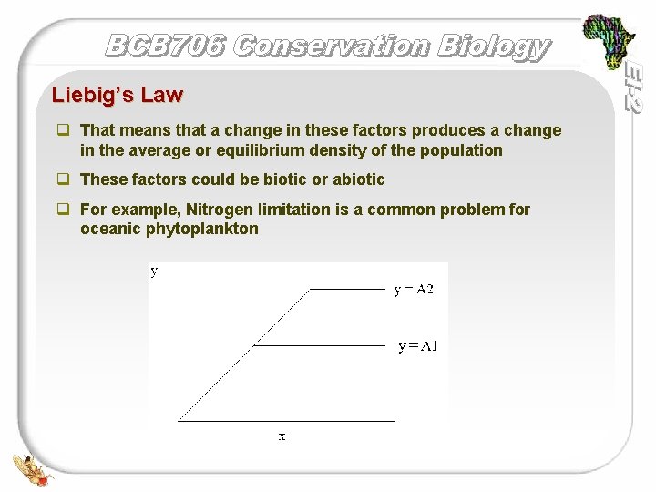 Liebig’s Law q That means that a change in these factors produces a change