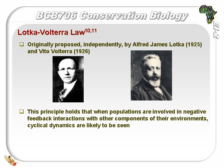 Lotka-Volterra Law 10, 11 q Originally proposed, independently, by Alfred James Lotka (1925) and