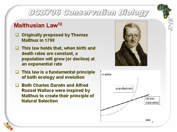 Malthusian Law 12 q Originally proposed by Thomas Malthus in 1798 q This law