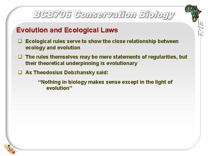 Evolution and Ecological Laws q Ecological rules serve to show the close relationship between