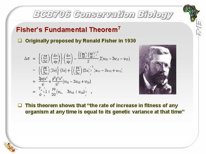 Fisher’s Fundamental Theorem 7 q Originally proposed by Ronald Fisher in 1930 q This