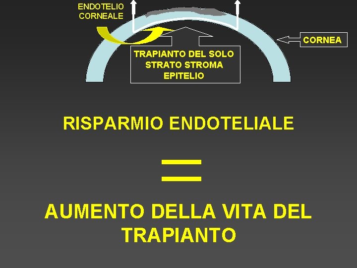 ENDOTELIO CORNEALE CORNEA TRAPIANTO DEL SOLO STRATO STROMA EPITELIO RISPARMIO ENDOTELIALE AUMENTO DELLA VITA