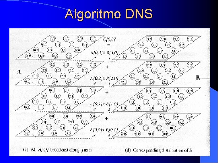 Algoritmo DNS 