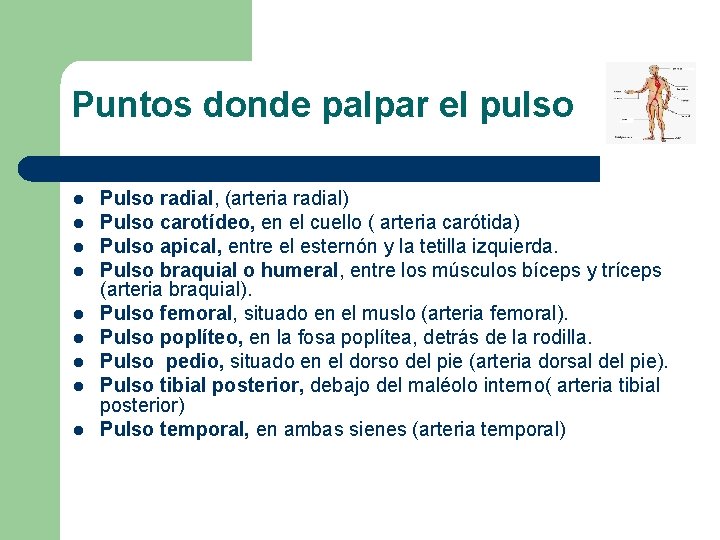Puntos donde palpar el pulso l l l l l Pulso radial, (arteria radial) Puntos donde palpar el pulso l l l l l Pulso radial, (arteria radial)