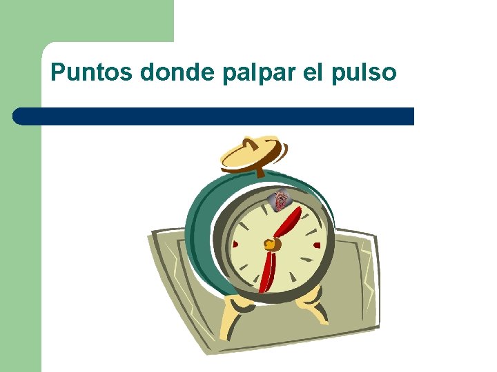 Puntos donde palpar el pulso Puntos donde palpar el pulso