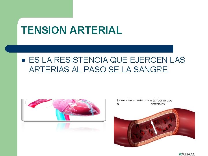 TENSION ARTERIAL l ES LA RESISTENCIA QUE EJERCEN LAS ARTERIAS AL PASO SE LA TENSION ARTERIAL l ES LA RESISTENCIA QUE EJERCEN LAS ARTERIAS AL PASO SE LA
