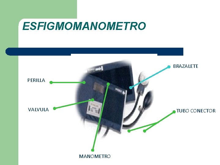 ESFIGMOMANOMETRO BRAZALETE PERILLA VALVULA TUBO CONECTOR MANOMETRO ESFIGMOMANOMETRO BRAZALETE PERILLA VALVULA TUBO CONECTOR MANOMETRO