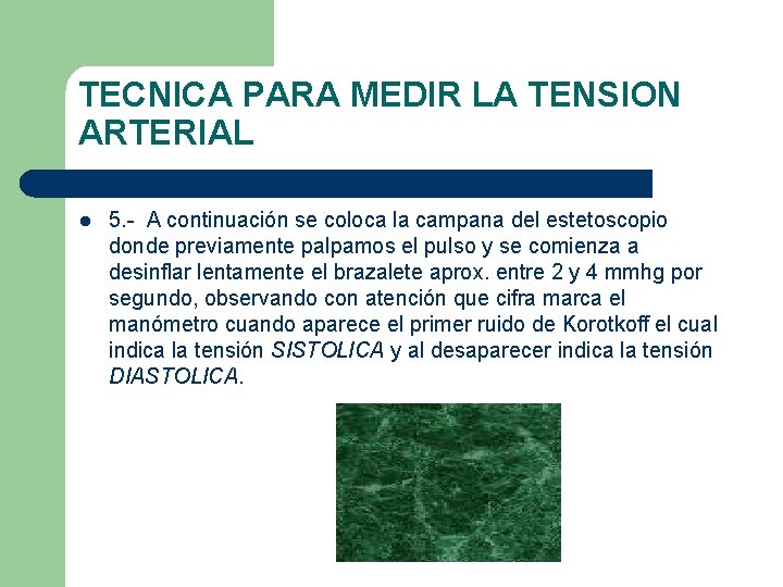TECNICA PARA MEDIR LA TENSION ARTERIAL l 5. - A continuación se coloca la TECNICA PARA MEDIR LA TENSION ARTERIAL l 5. - A continuación se coloca la