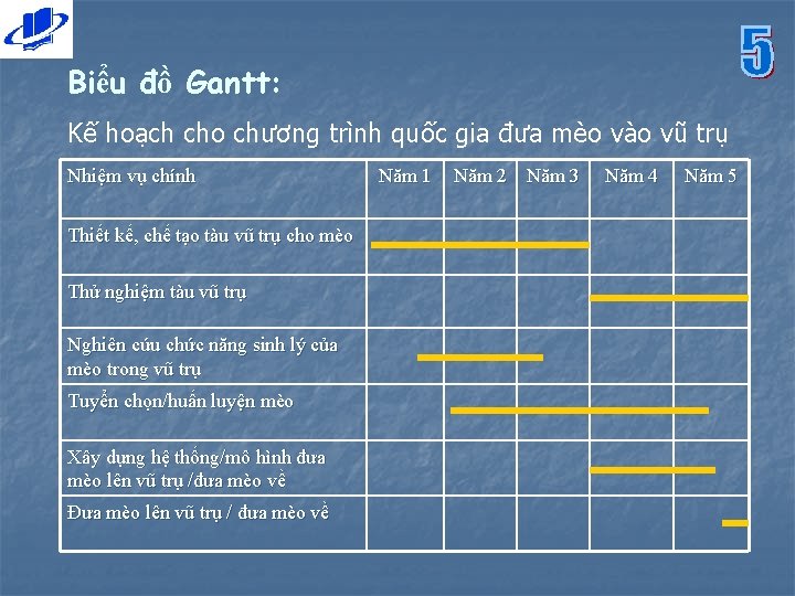 Biểu đồ Gantt: Kế hoạch cho chương trình quốc gia đưa mèo vào vũ