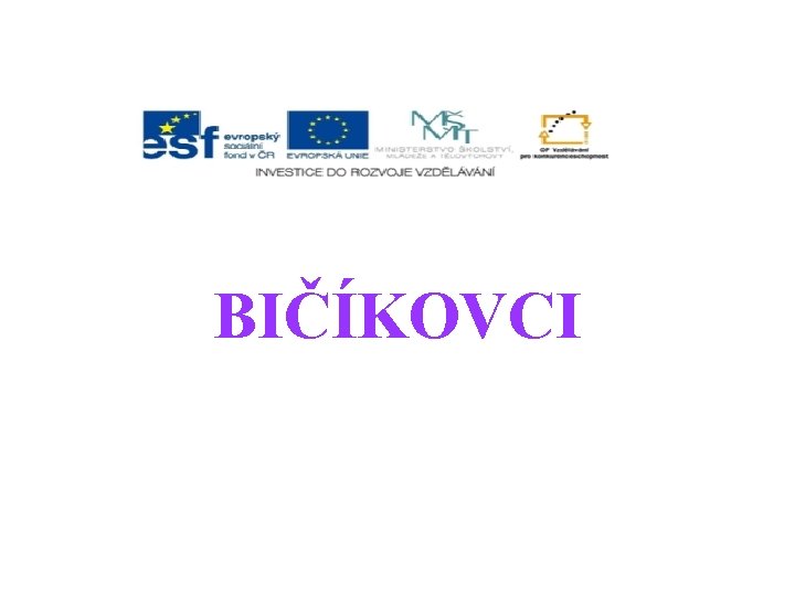 BIČÍKOVCI 