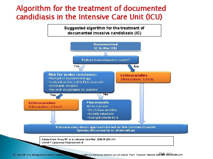 Algorithm for the treatment of documented candidiasis in the Intensive Care Unit (ICU) Suggested