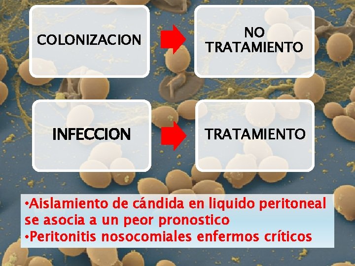 COLONIZACION NO TRATAMIENTO INFECCION TRATAMIENTO • Aislamiento de cándida en liquido peritoneal se asocia