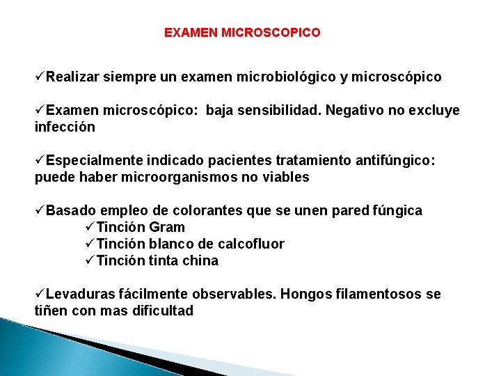 EXAMEN MICROSCOPICO üRealizar siempre un examen microbiológico y microscópico üExamen microscópico: baja sensibilidad. Negativo