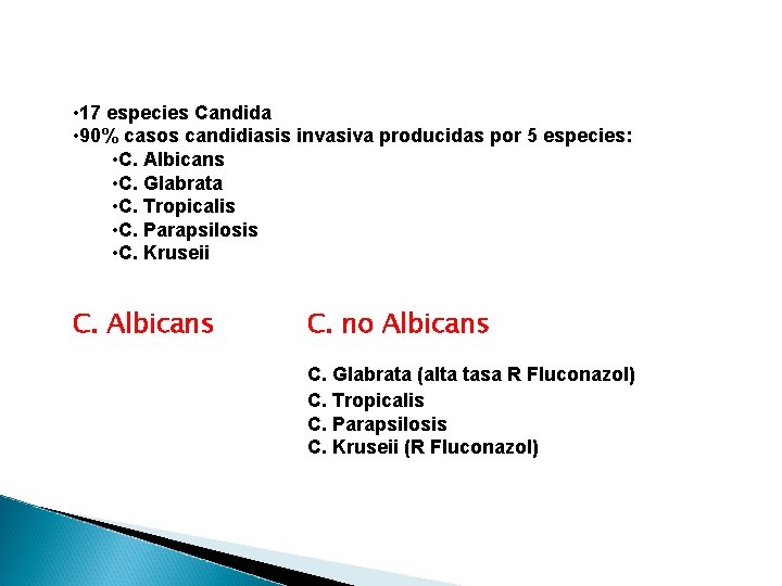  • 17 especies Candida • 90% casos candidiasis invasiva producidas por 5 especies: