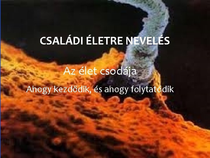 CSALÁDI ÉLETRE NEVELÉS Az élet csodája Ahogy kezdődik, és ahogy folytatódik 