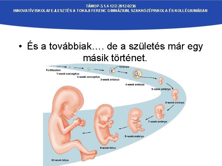 TÁMOP-3. 1. 4 -12/2 -2012 -0236 INNOVATÍV ISKOLAFEJLESZTÉS A TOKAJI FERENC GIMNÁZIUM, SZAKKÖZÉPISKOLA ÉS