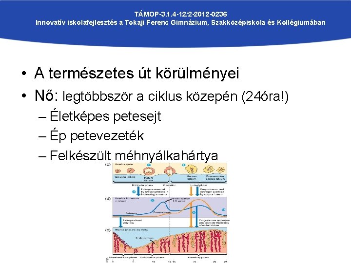 TÁMOP-3. 1. 4 -12/2 -2012 -0236 Innovatív iskolafejlesztés a Tokaji Ferenc Gimnázium, Szakközépiskola és