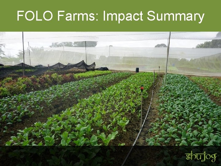 FOLO Farms: Impact Summary 