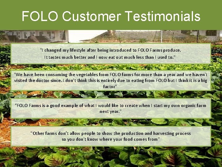 FOLO Customer Testimonials "I changed my lifestyle after being introduced to FOLO Farms produce.