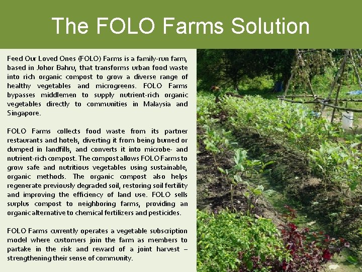 The FOLO Farms Solution Feed Our Loved Ones (FOLO) Farms is a family-run farm,