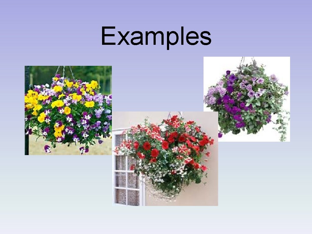 Examples 