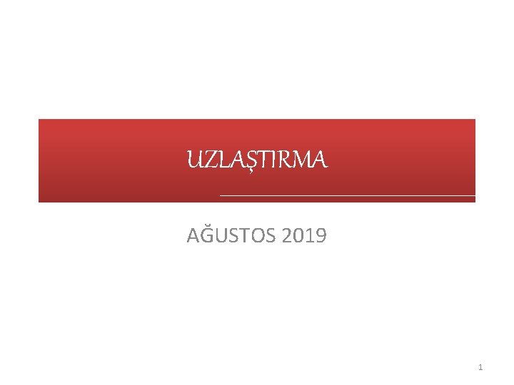 UZLAŞTIRMA AĞUSTOS 2019 1 