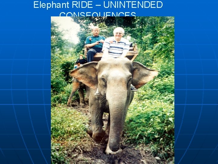 Elephant RIDE – UNINTENDED CONSEQUENCES 