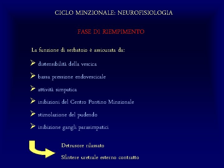 CICLO MINZIONALE: NEUROFISIOLOGIA FASE DI RIEMPIMENTO La funzione di serbatoio è assicurata da: Ø