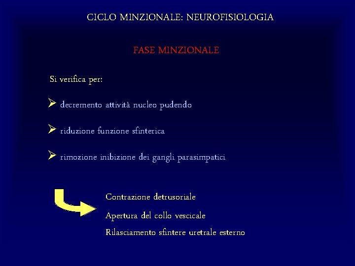 CICLO MINZIONALE: NEUROFISIOLOGIA FASE MINZIONALE Si verifica per: Ø decremento attività nucleo pudendo Ø