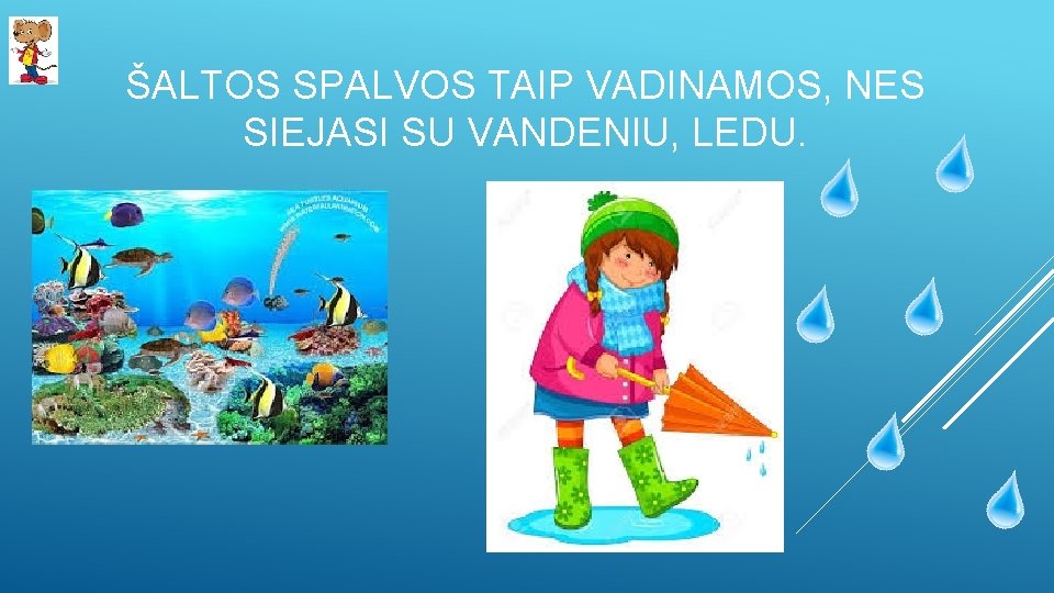 ŠALTOS SPALVOS TAIP VADINAMOS, NES SIEJASI SU VANDENIU, LEDU. 