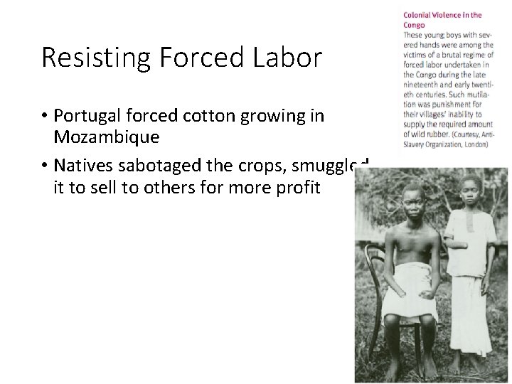 Resisting Forced Labor • Portugal forced cotton growing in Mozambique • Natives sabotaged the