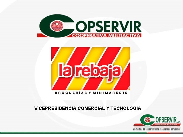 VICEPRESIDENCIA COMERCIAL Y TECNOLOGIA VICEPRESIDENCIA COMERCIAL Y TECNOLOGIA